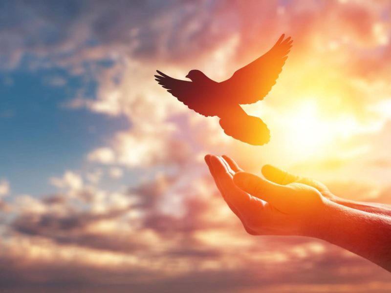 Gita - Chapter 5 Verses #27 thru #29