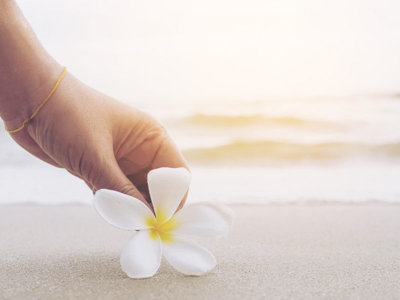 Gita - Chapter 9 Verse #12